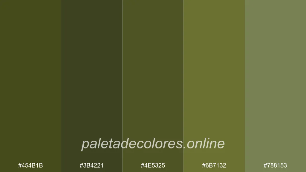 Tonos ricos y terrosos reminiscentes de la densa vegetación del bosque.