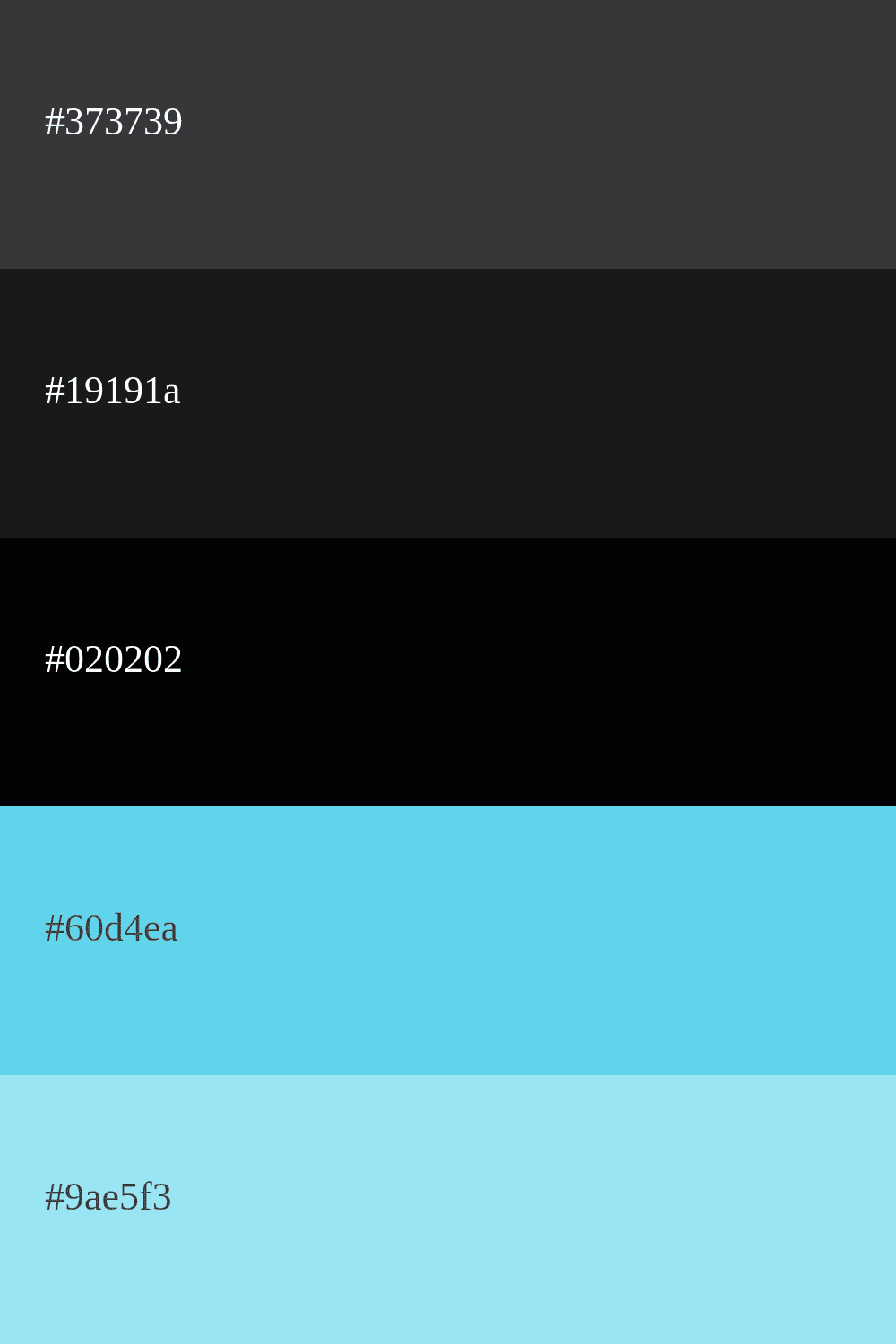 Paleta de colores negro gris y celeste