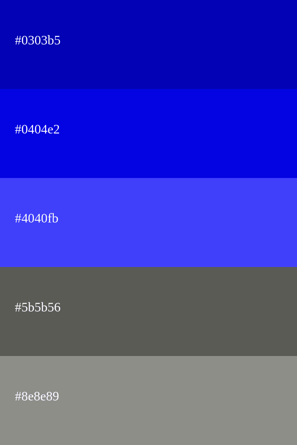 bleu roi et gris