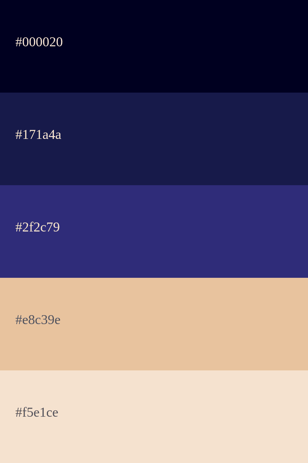 Combinaison palette de couleurs bleu marine et beige