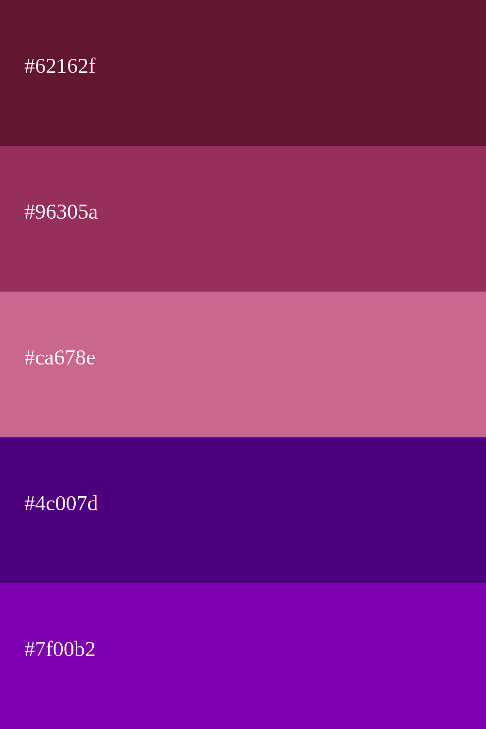 Bordeaux und Lila